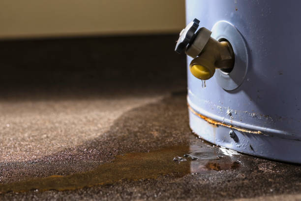 Best Water damage restoration near me  in Westmont, CA