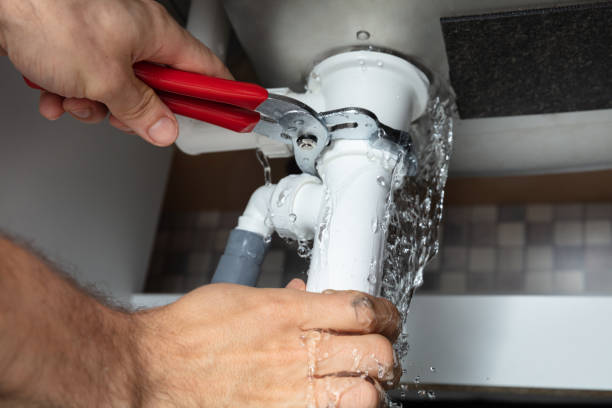 Best Mold removal after water damage  in Westmont, CA