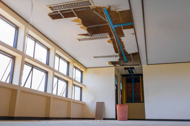 Best Flood damage cleanup  in Westmont, CA
