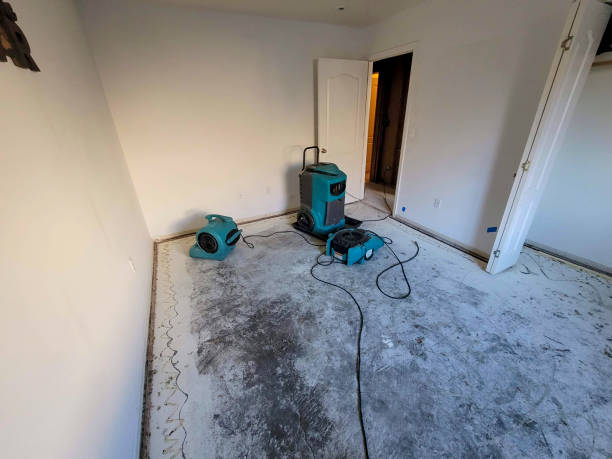 Best Emergency water damage restoration  in Westmont, CA
