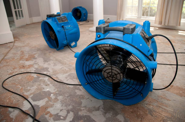 Best Water damage restoration near me  in Westmont, CA