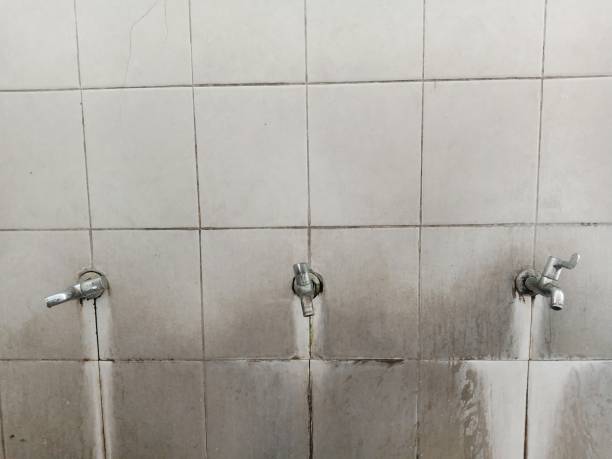 Best Water damage restoration near me  in Westmont, CA