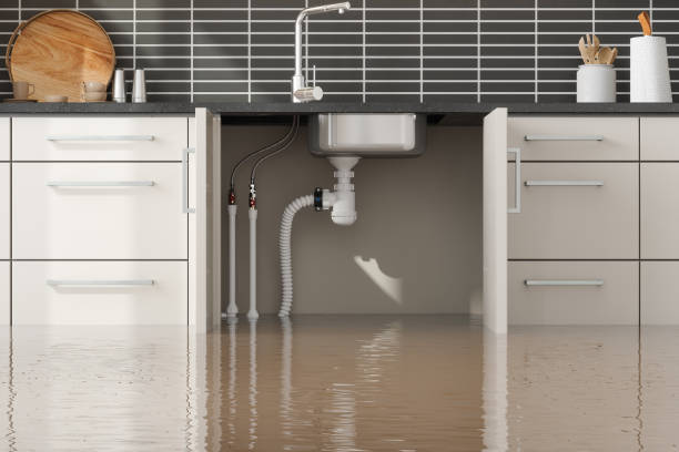 Best 24/7 water damage repair  in Westmont, CA